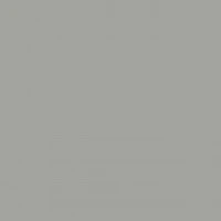 Chinchilla Grey