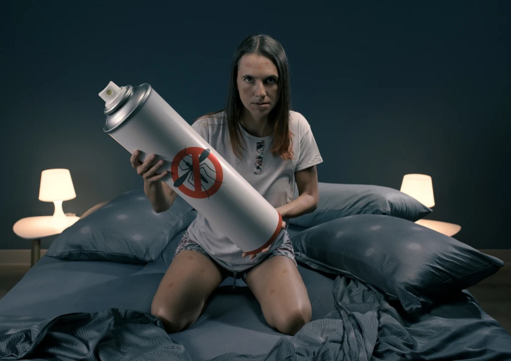 Ako zabrániť štípancom od komárov počas noci?