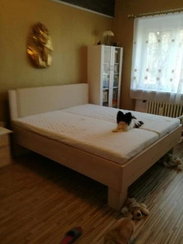 Blanárová Svatava, BA